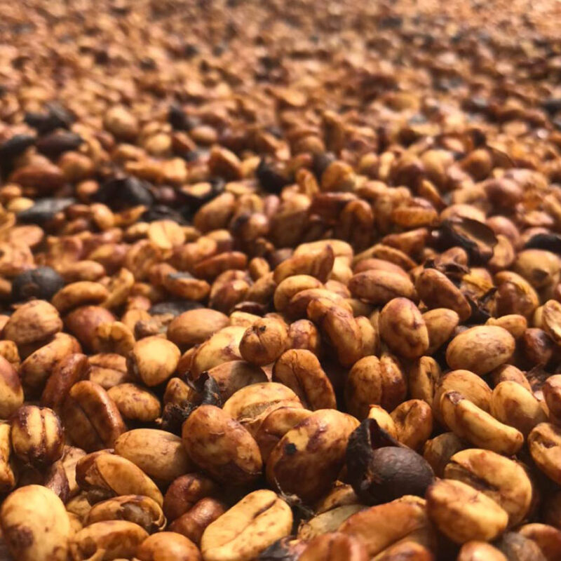 Cà phê arabica red honey