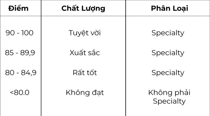 Cafe Sâm Ngọc Linh 2 Cafe Sâm Ngọc Linh